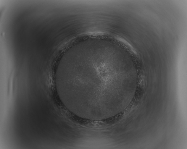 X0000102400966200808011543