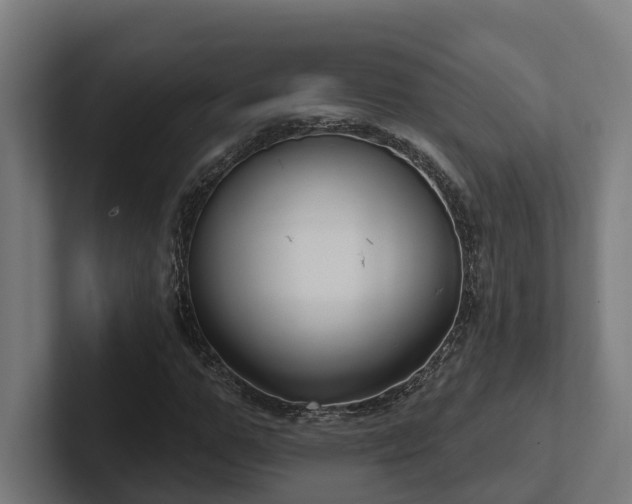 X0000102400967200808011543