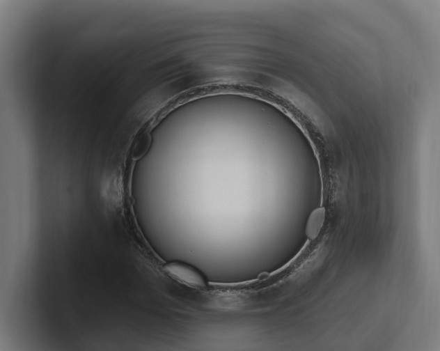 X0000102400969200808011543