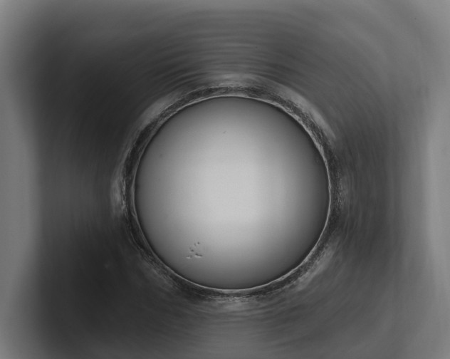 X0000102400970200808011543