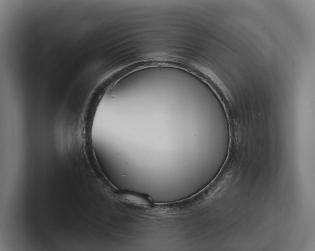 X0000102400971200808011543
