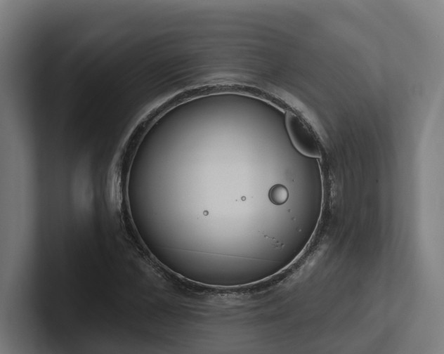 X0000102400973200808011543