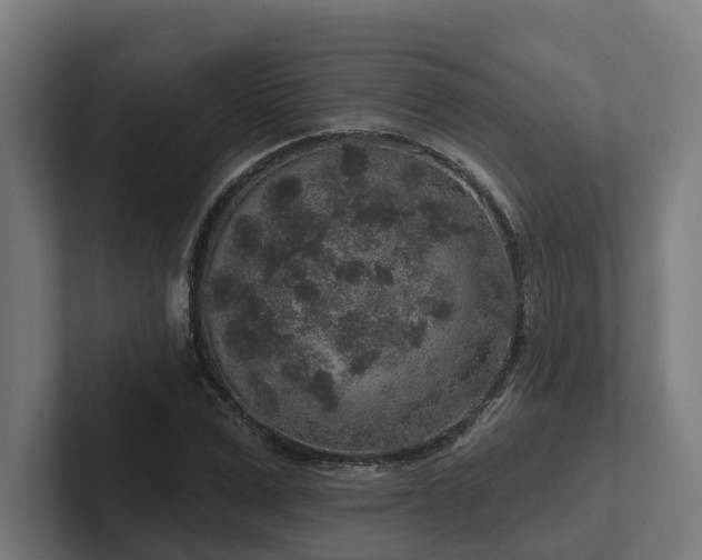 X0000102400975200808011543
