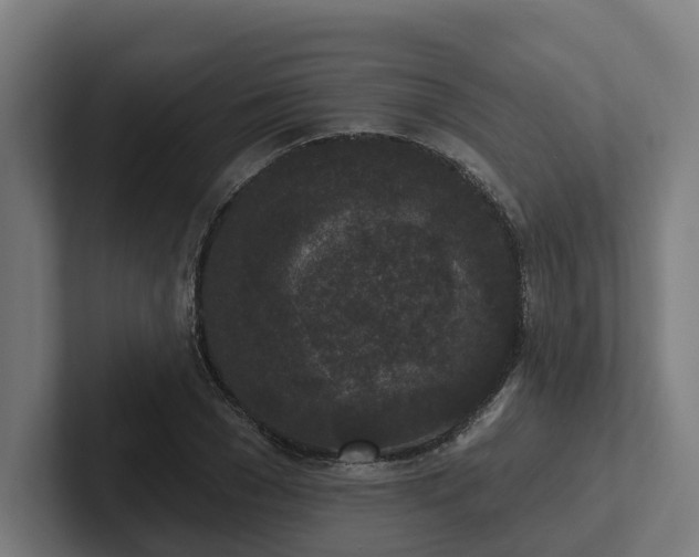 X0000102400977200808011543