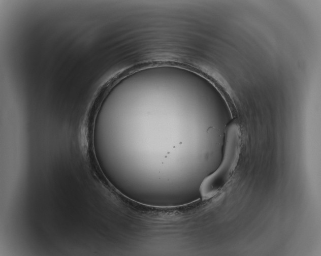X0000102400979200808011543