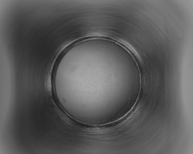 X0000102400980200808011543