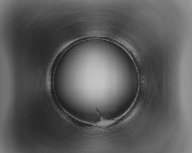 X0000102400981200808011543