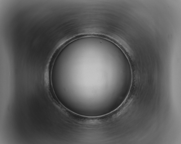 X0000102400982200808011543