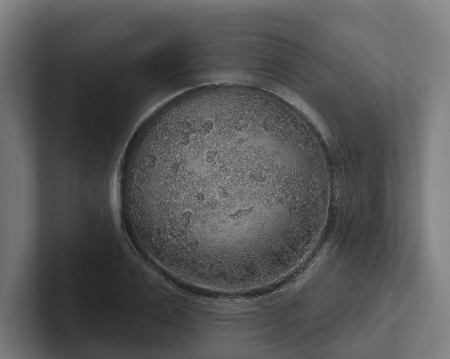 X0000102400983200808011543