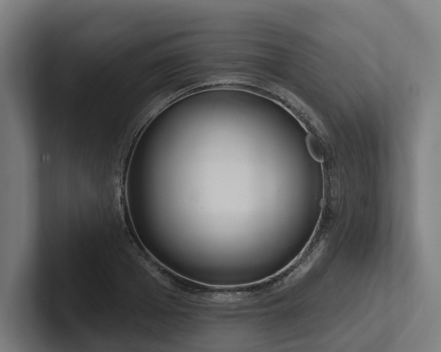 X0000102400985200808011543