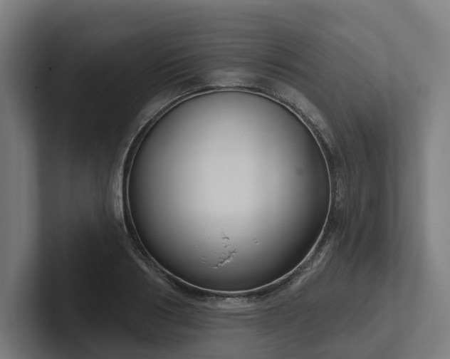 X0000102400986200808011543