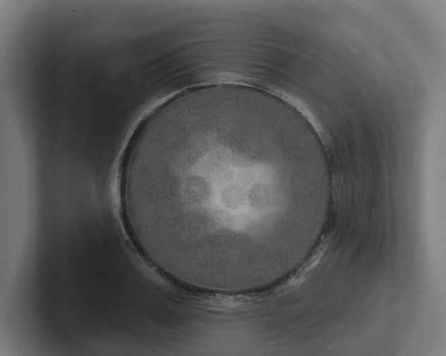 X0000102400987200808011543