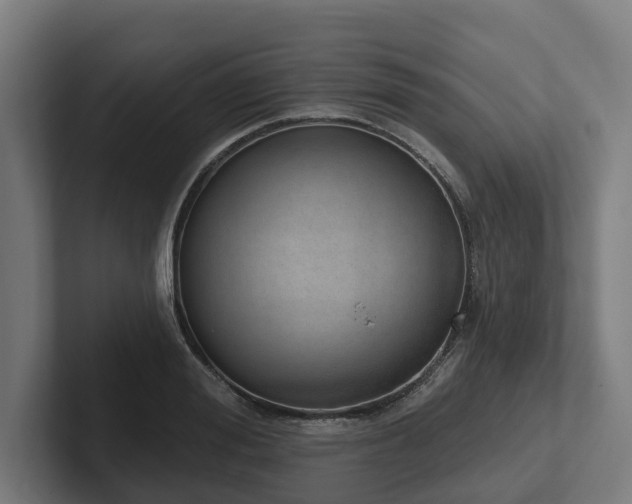 X0000102400988200808011543