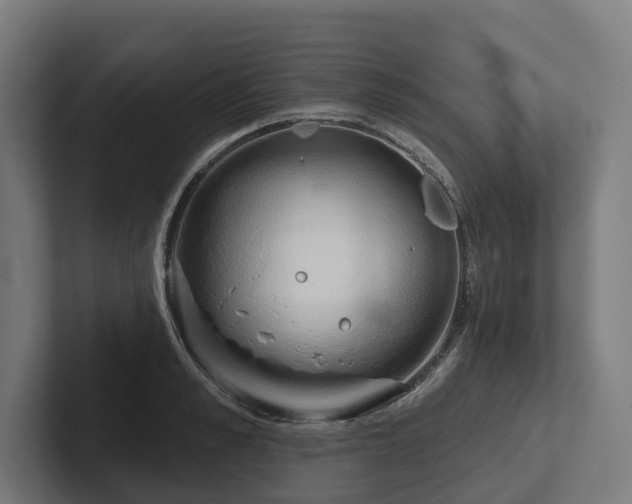 X0000102400989200808011543