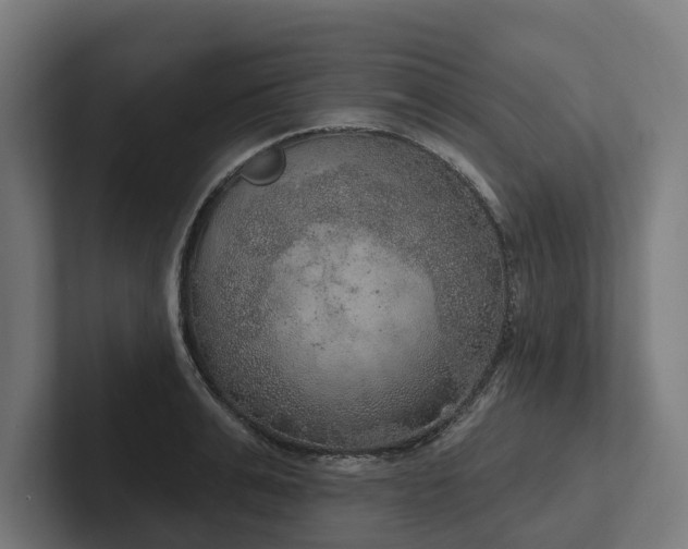 X0000102400991200808011543