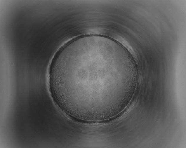 X0000102400992200808011543