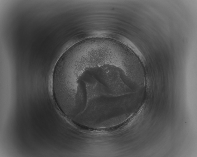 X0000102400994200808011543