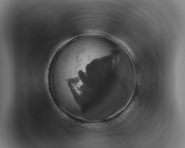 X0000102400995200808011543