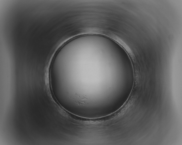 X0000102400996200808011543