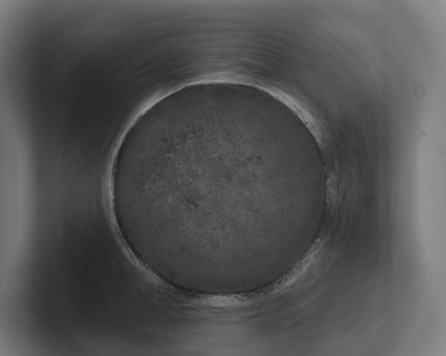 X0000102400998200808011543