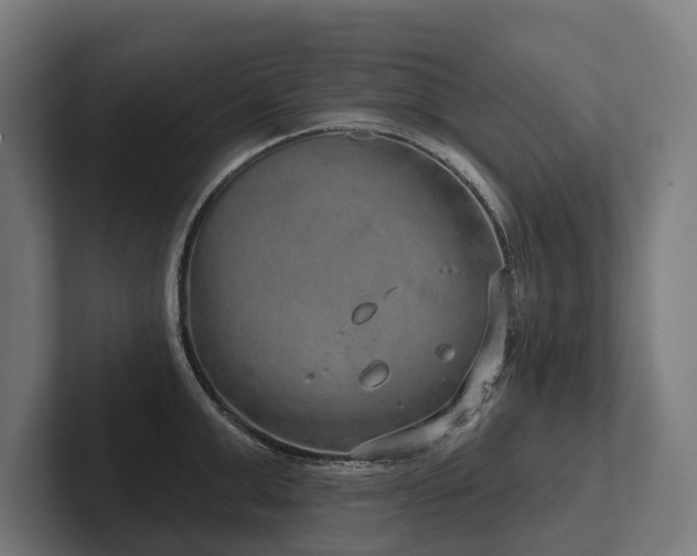 X0000102400999200808011543