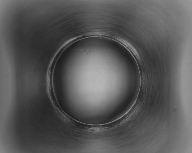 X0000102401000200808011543