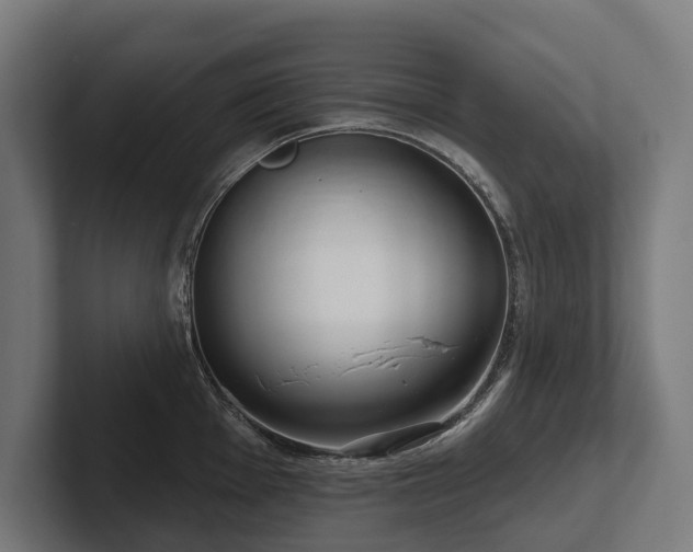 X0000102401001200808011543