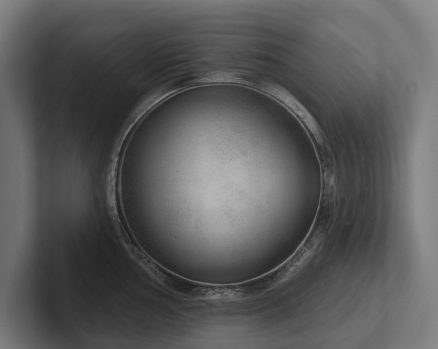 X0000102401002200808011543
