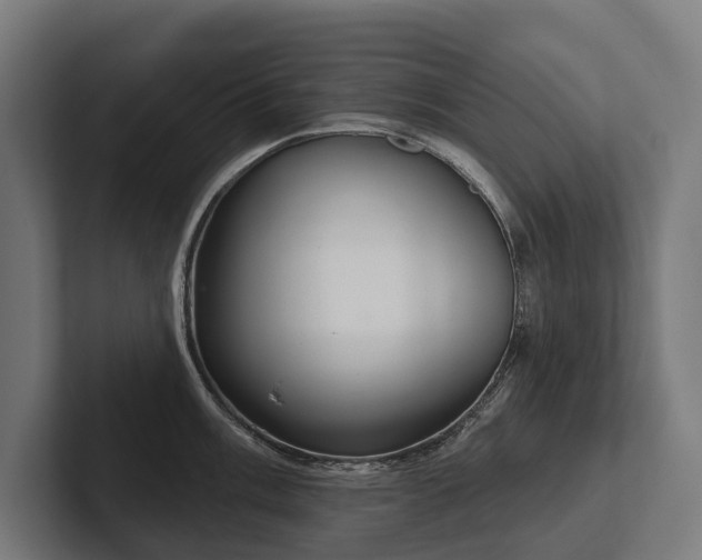 X0000102401003200808011543