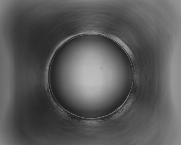 X0000102401004200808011543