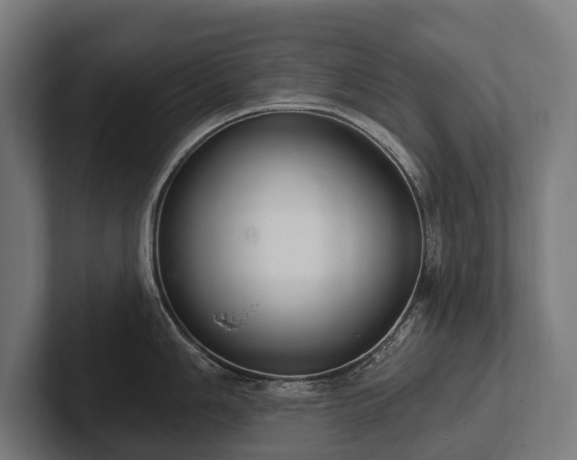 X0000102401006200808011543