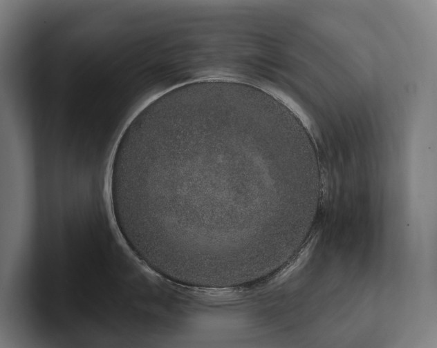 X0000102401007200808011543