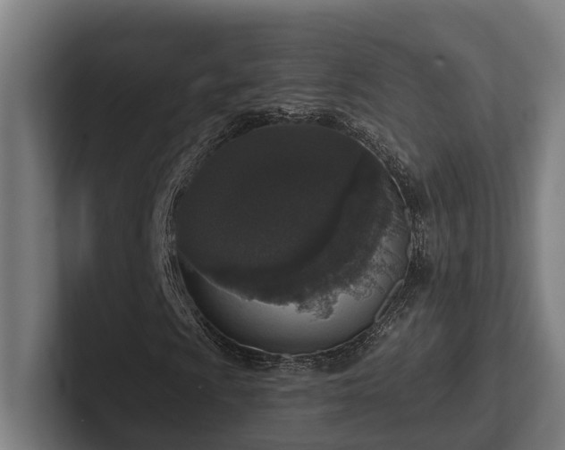 X0000102401009200808011542
