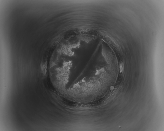 X0000102401011200808011542
