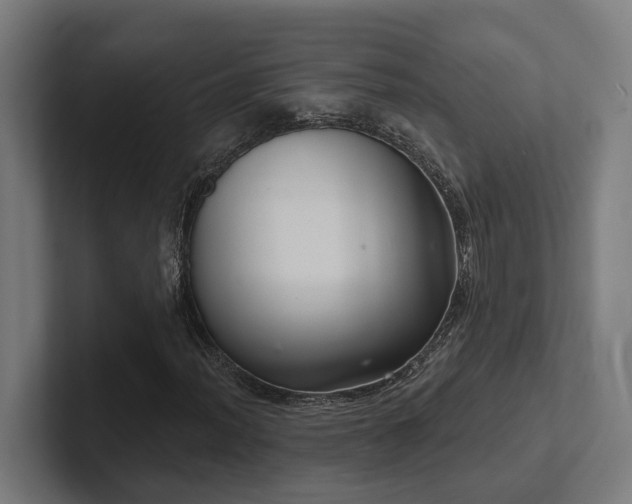 X0000102401012200808011542