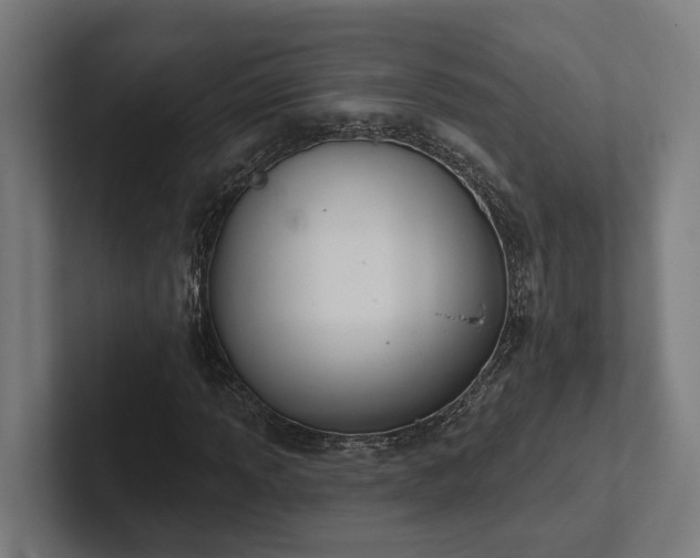 X0000102401013200808011542