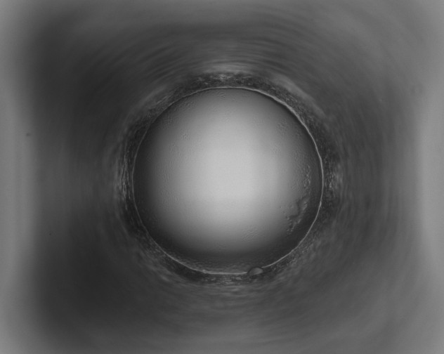 X0000102401014200808011542