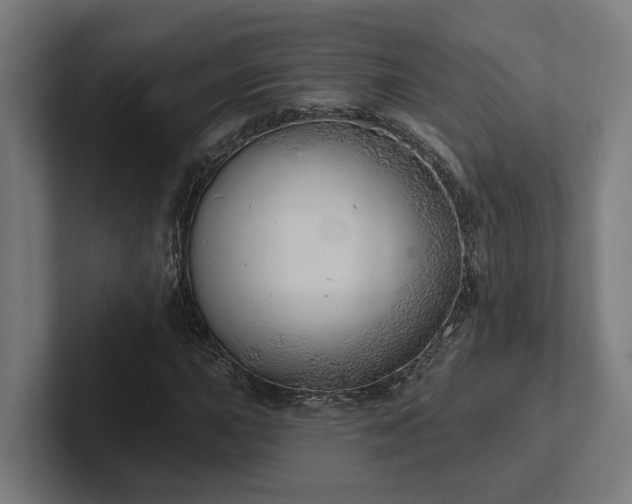 X0000102401015200808011542
