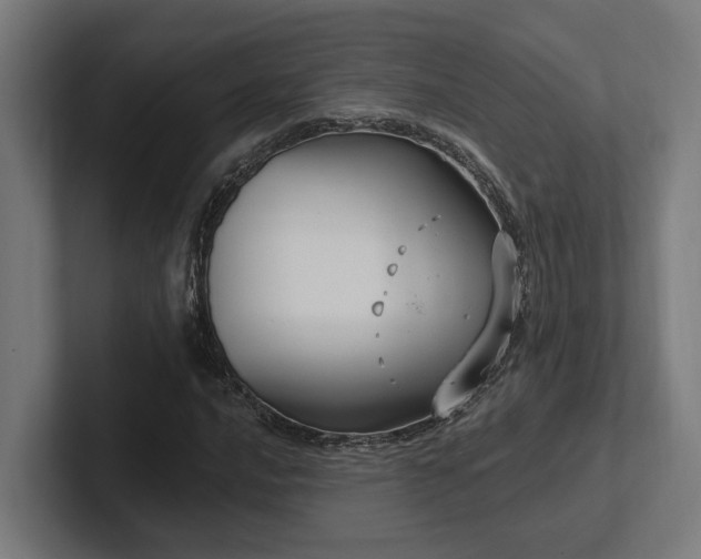 X0000102401016200808011542