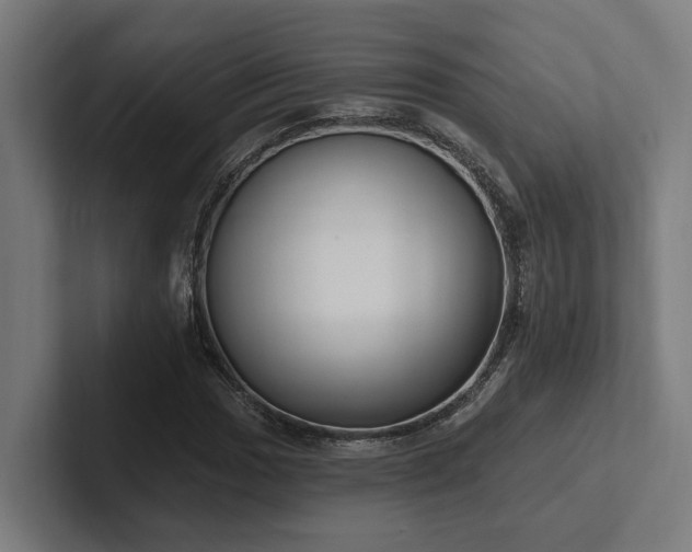X0000102401017200808011542