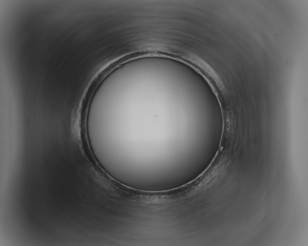 X0000102401020200808011542