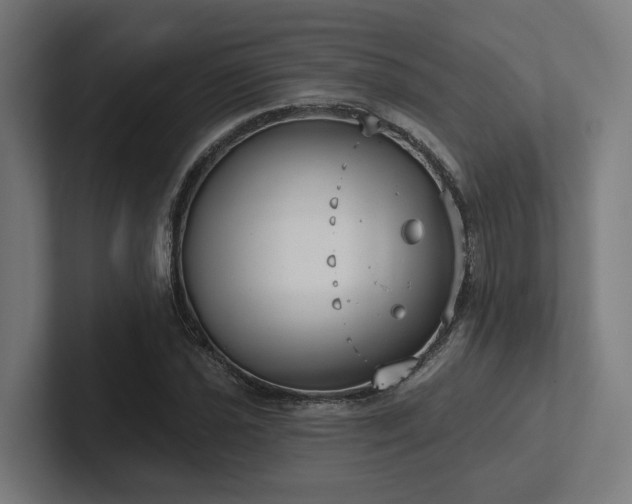 X0000102401021200808011542