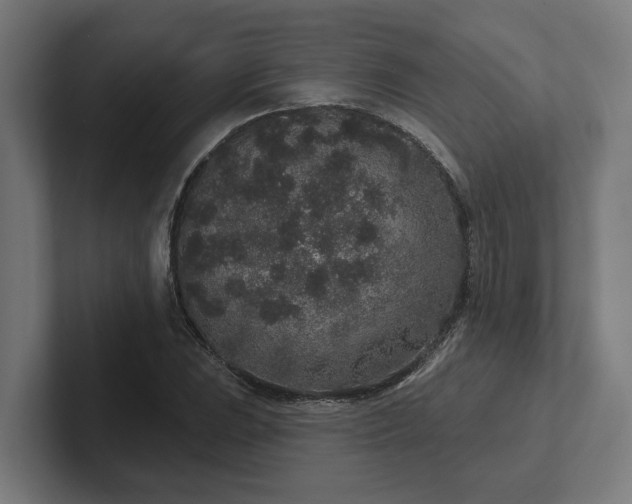 X0000102401023200808011542