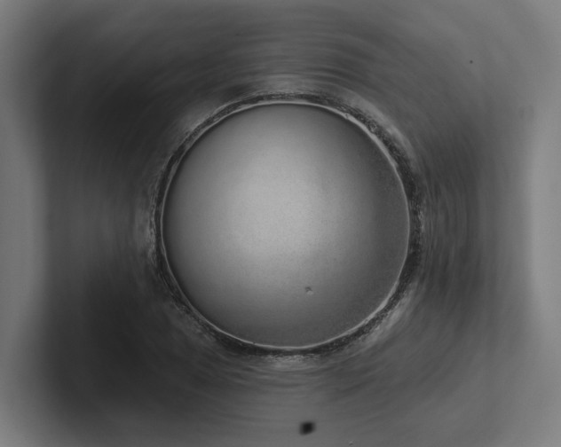 X0000102401025200808011542