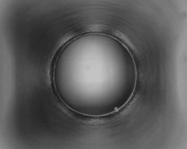 X0000102401026200808011542