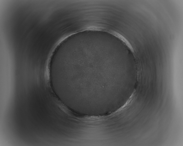 X0000102401027200808011542