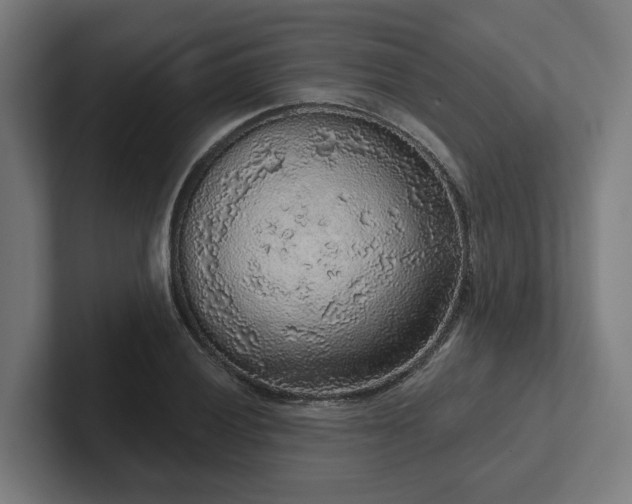 X0000102401028200808011542