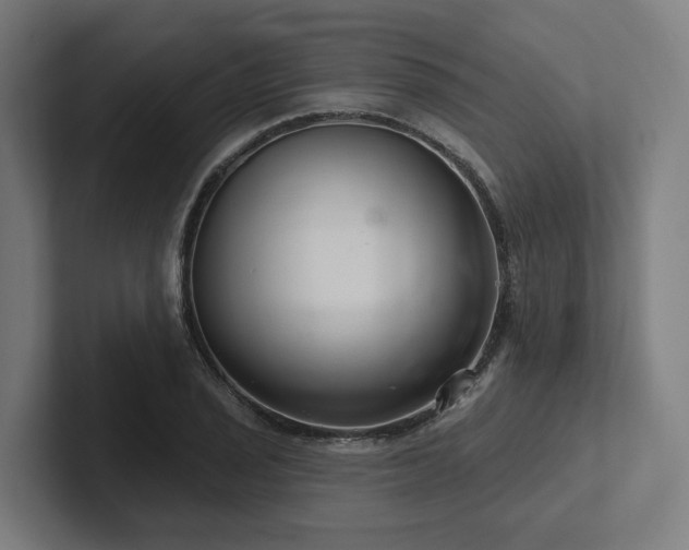 X0000102401029200808011542