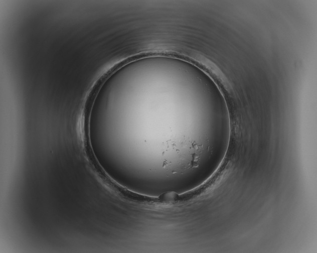 X0000102401030200808011542