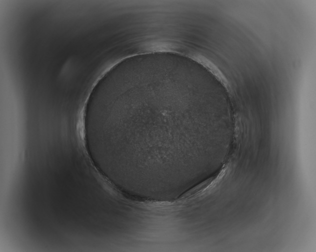 X0000102401031200808011542